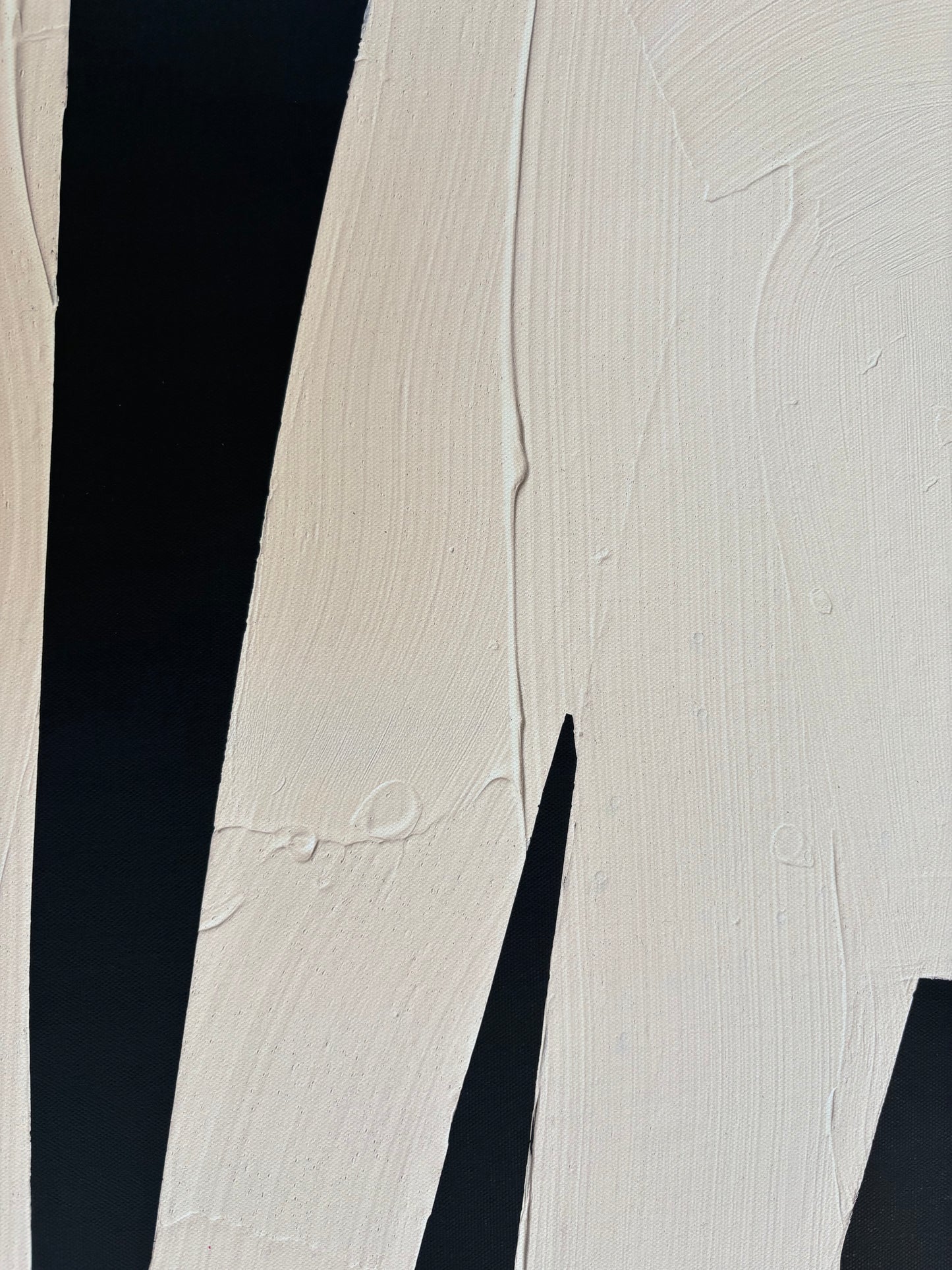 Obraz figuratywno-abstrakcyjny na płótnie w minimalistycznej formie - SHADOW OT THE PANTHER'S GRACE 2