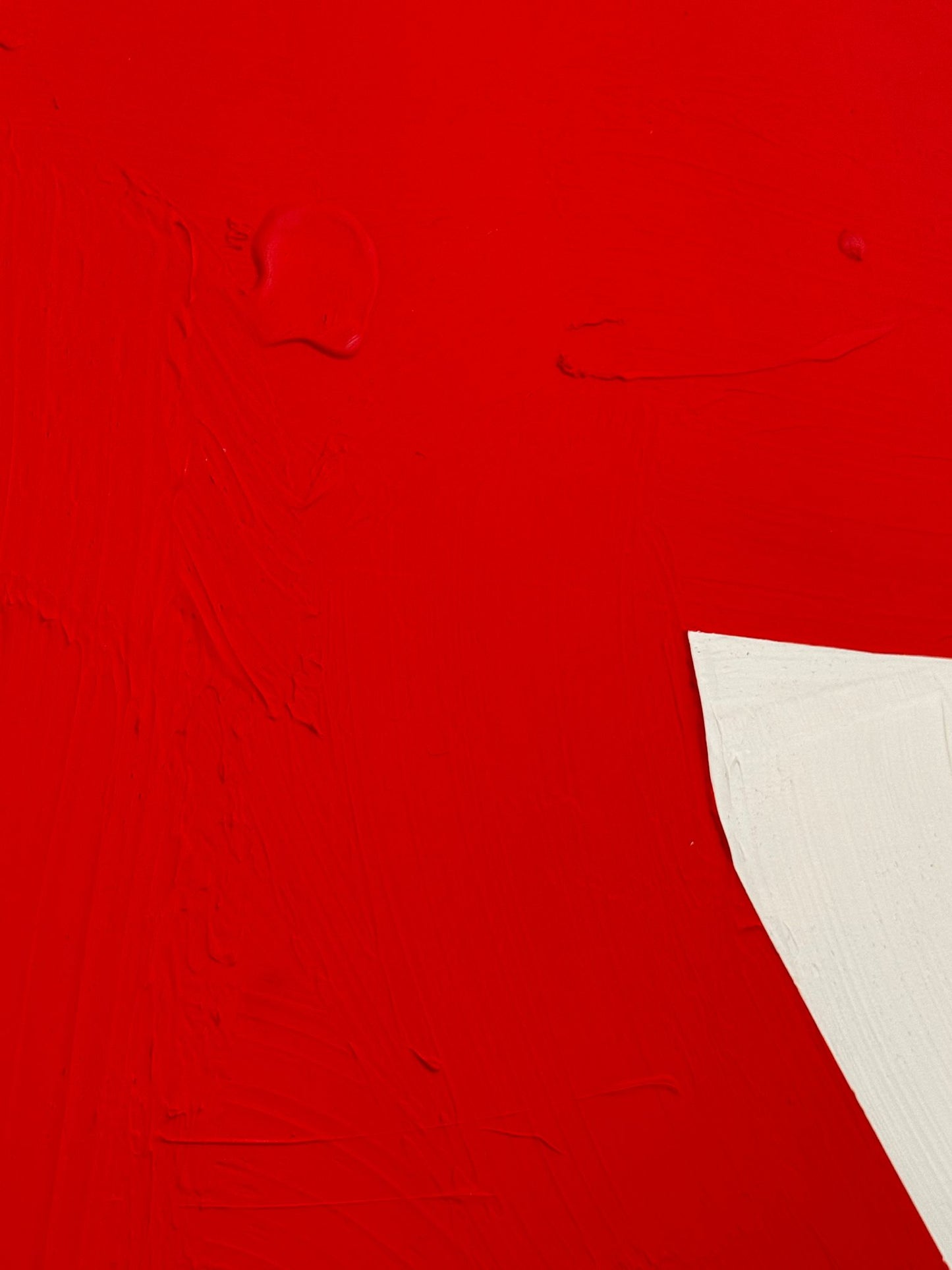 Obraz malowany na płótnie - SHADOW OT THE PANTHER'S GRACE 1